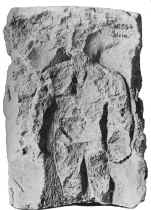 Foto Herkules(39401 Byte)